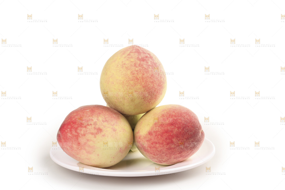 毛桃