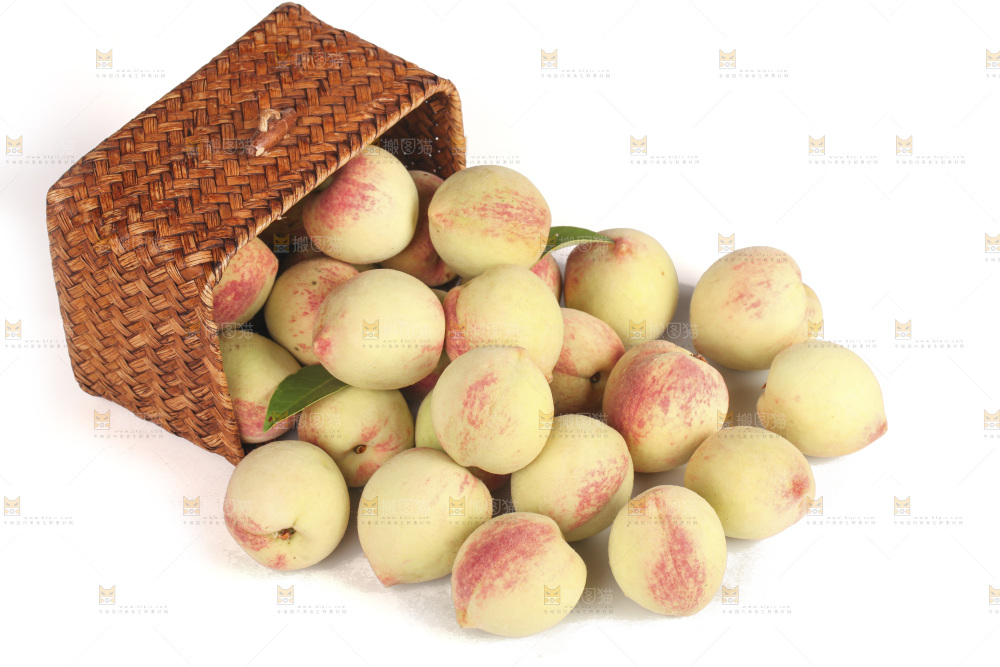 毛桃