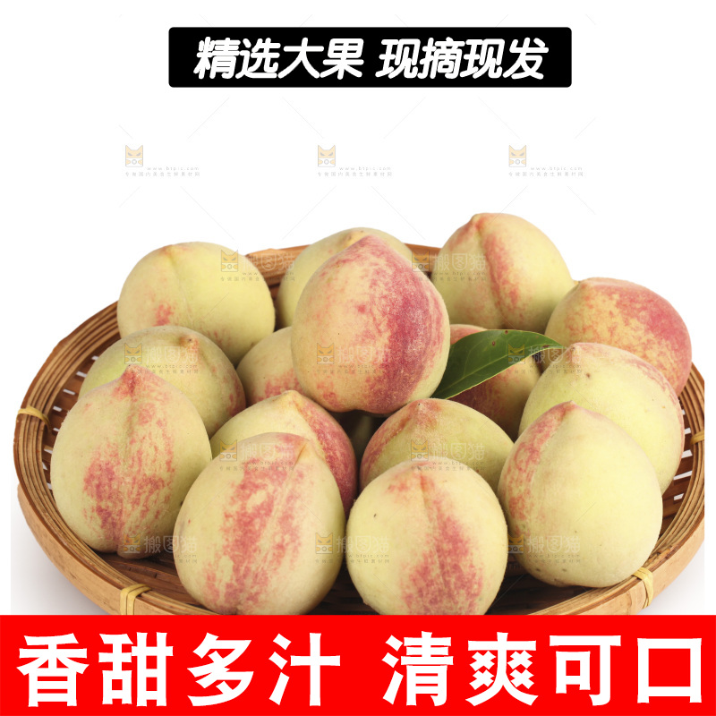 毛桃