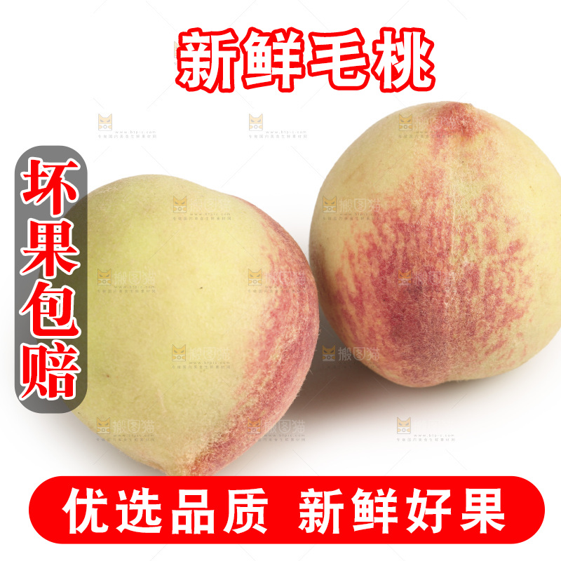 毛桃
