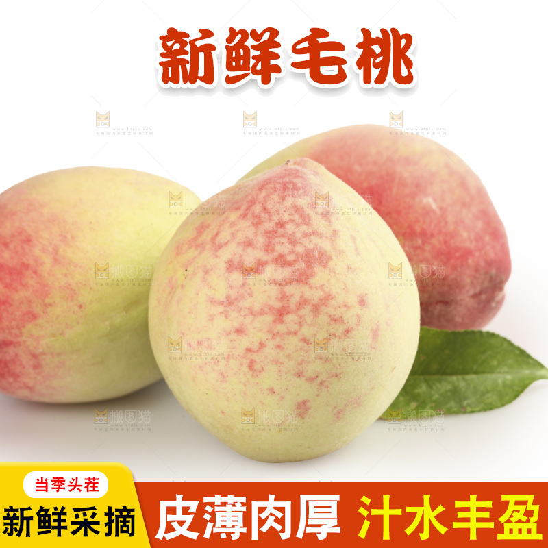 毛桃