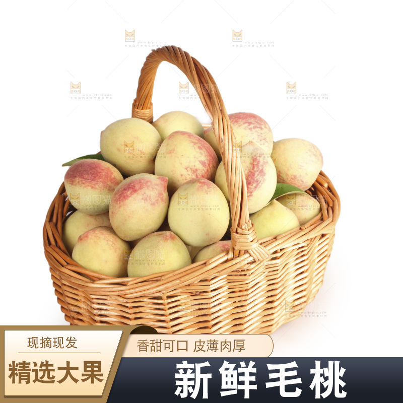 毛桃