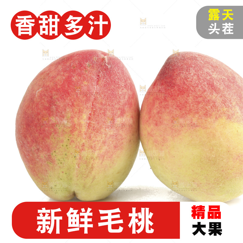毛桃