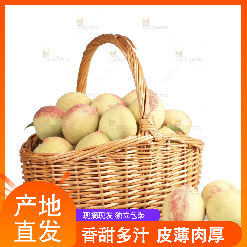 毛桃