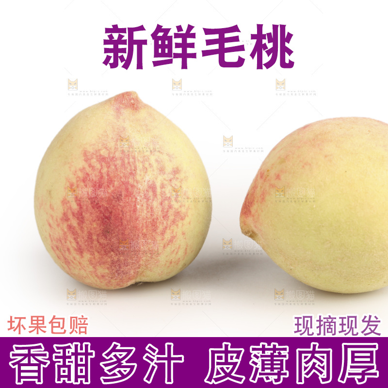 毛桃