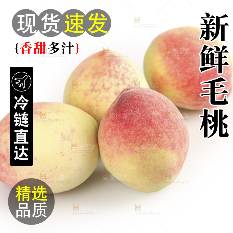 毛桃