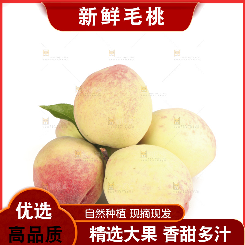 毛桃