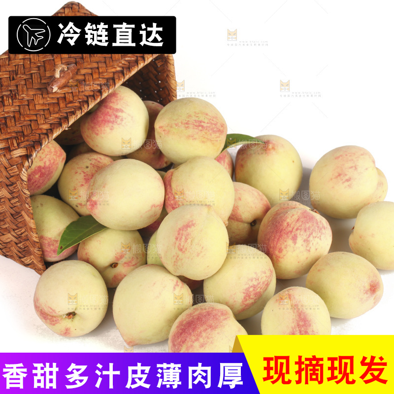 毛桃
