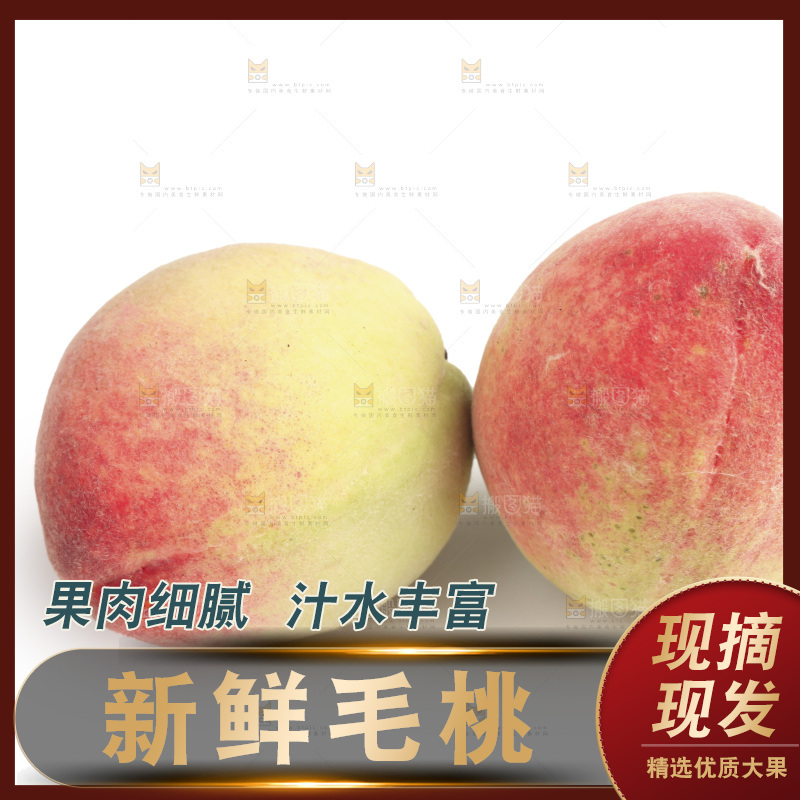 毛桃