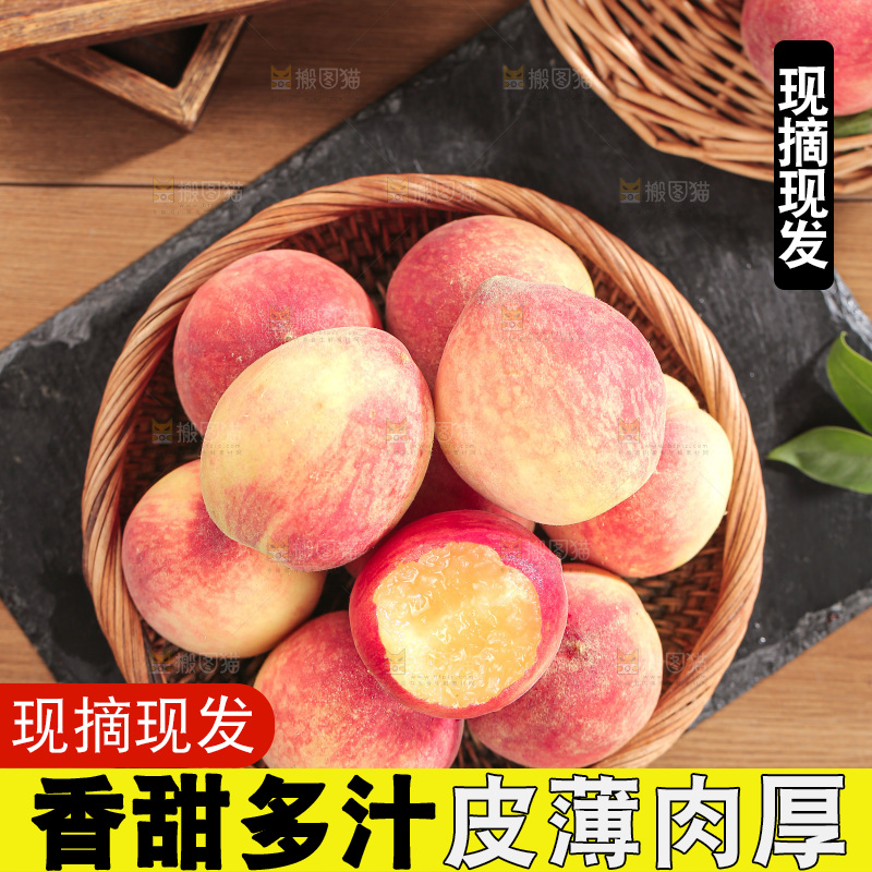 毛桃
