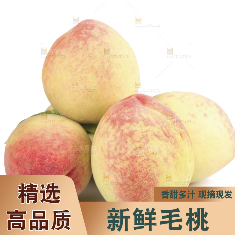 毛桃
