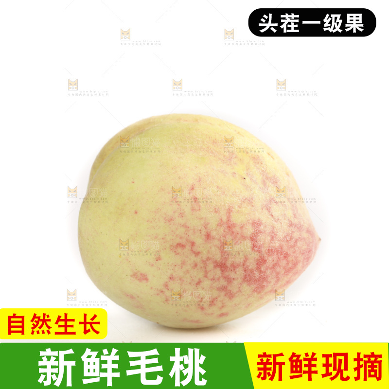 毛桃