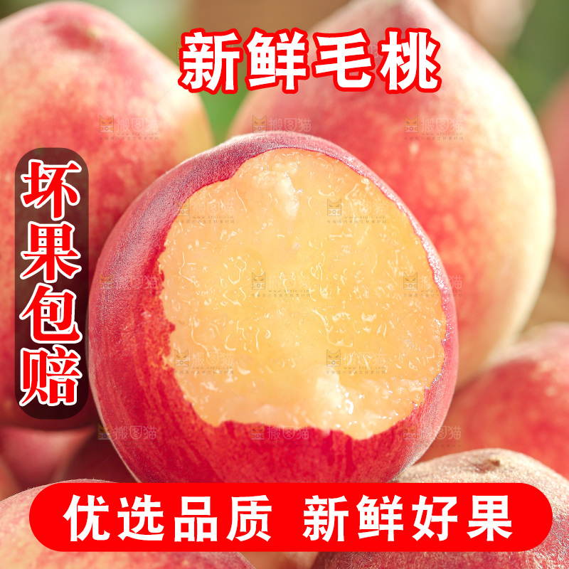毛桃