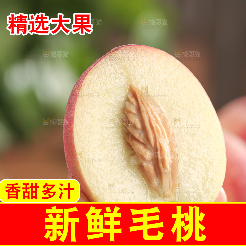 毛桃