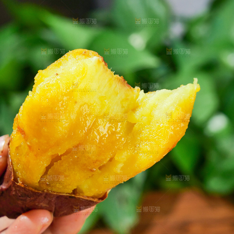 榴莲蜜薯
