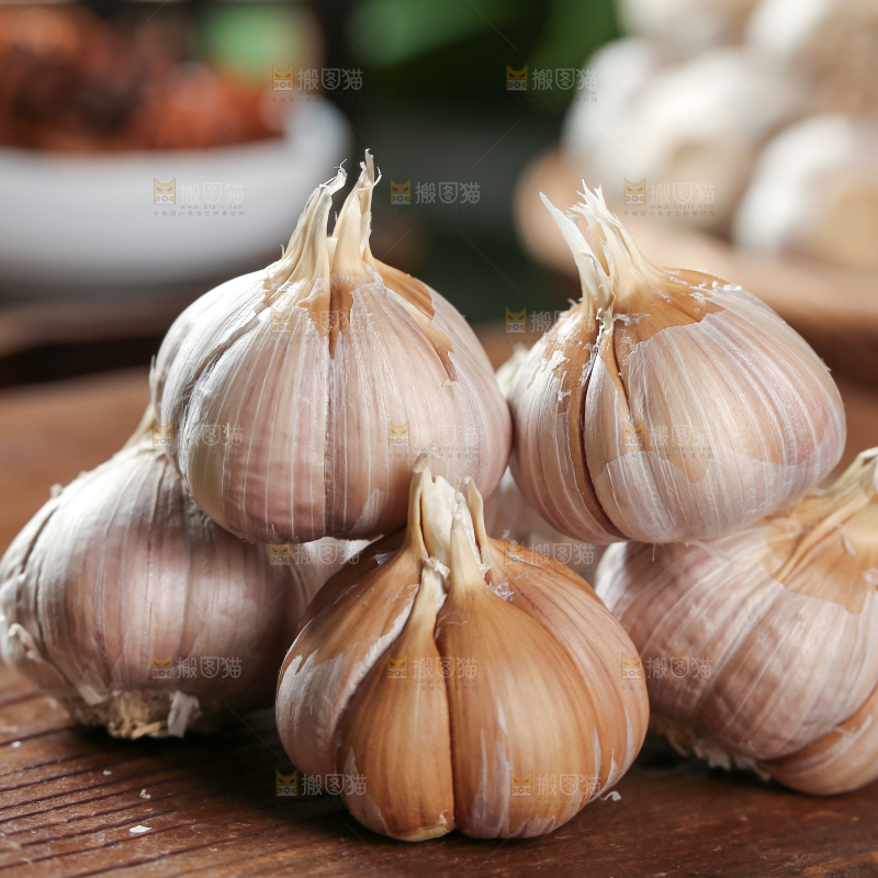 大蒜种