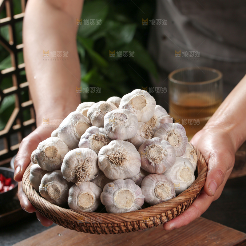 大蒜种