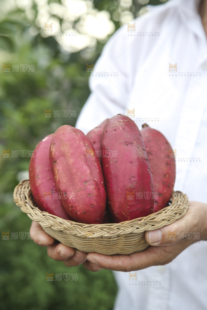 榴莲蜜薯