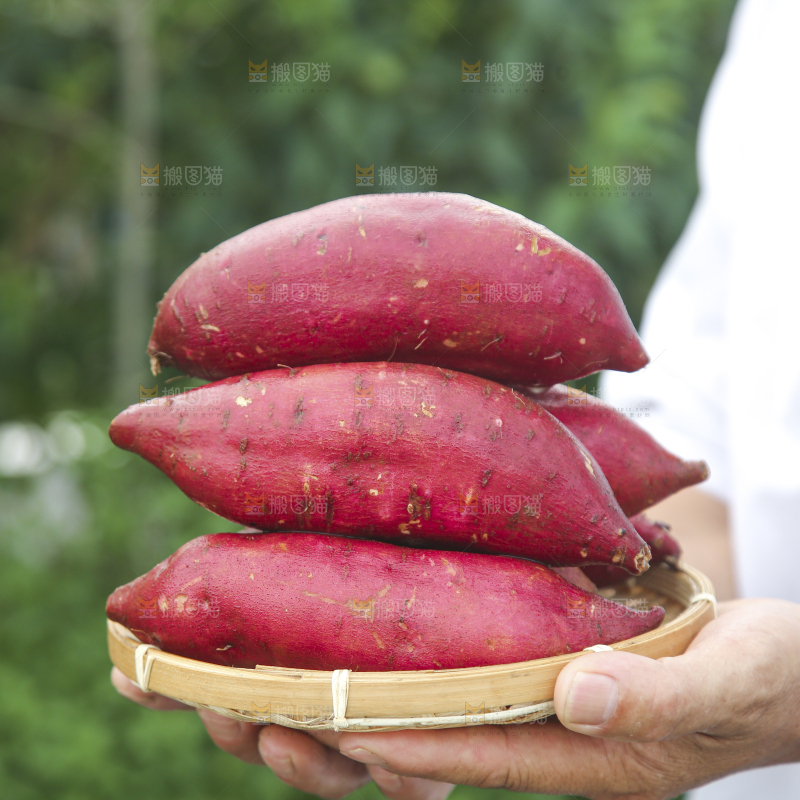 榴莲蜜薯