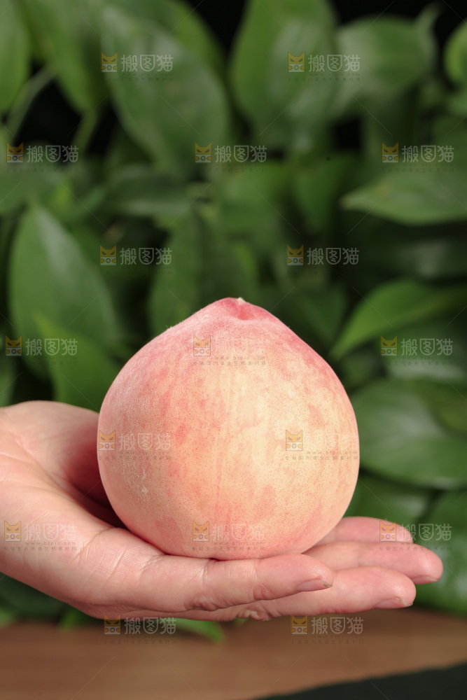 水蜜桃