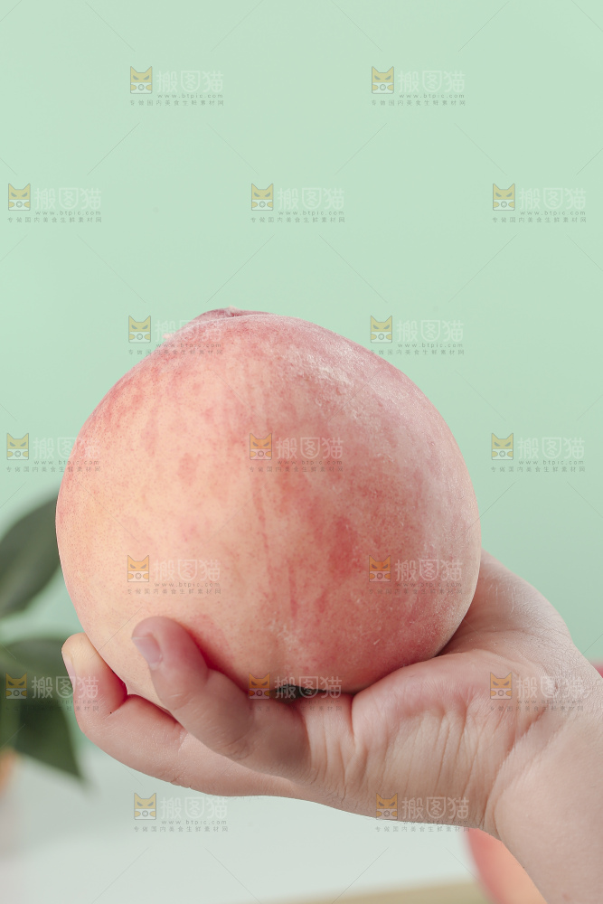 水蜜桃