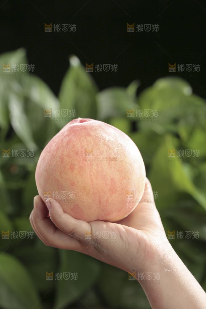 水蜜桃