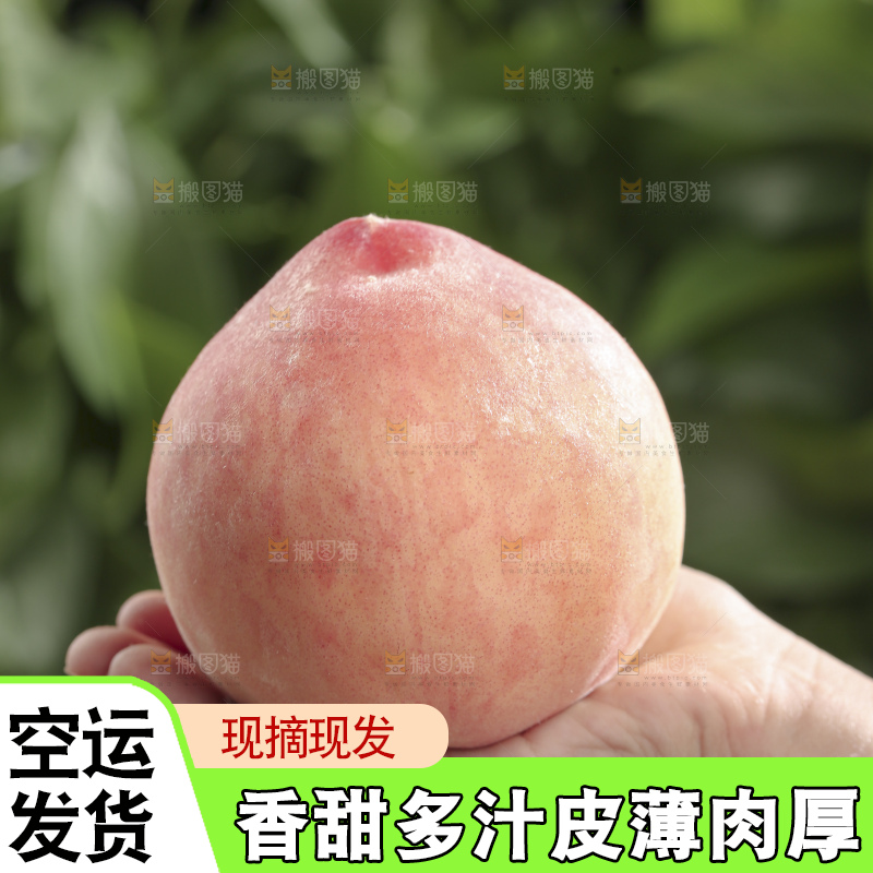 水蜜桃