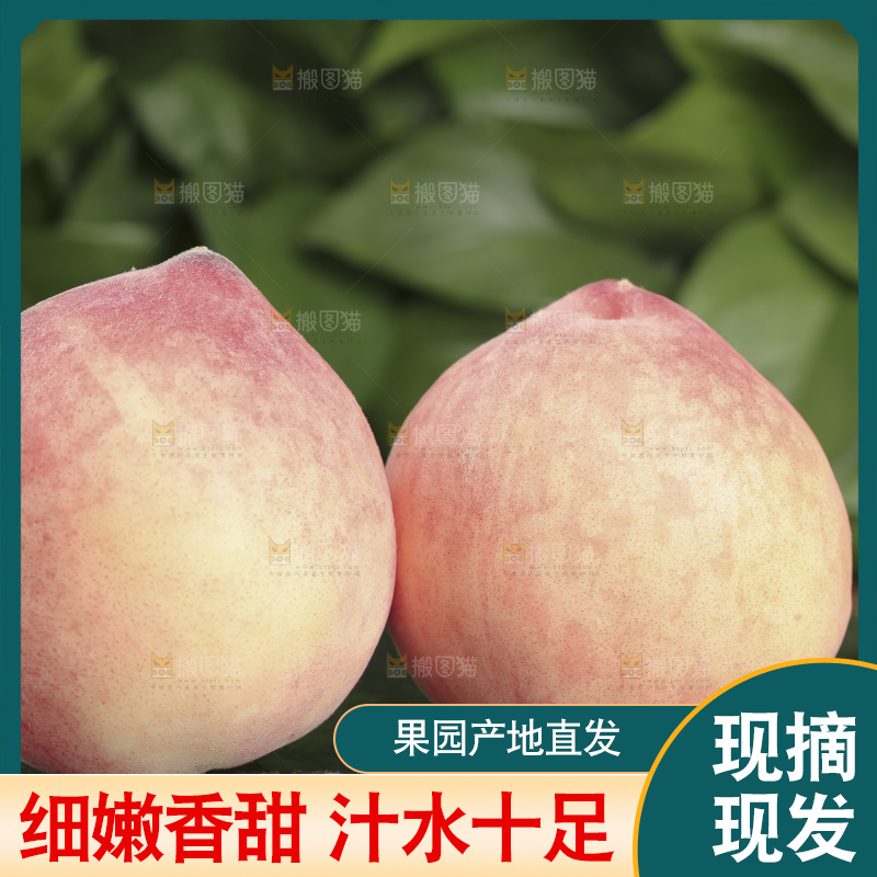水蜜桃