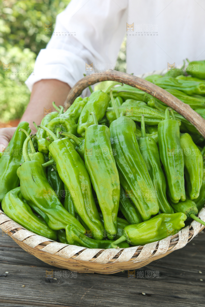 青椒