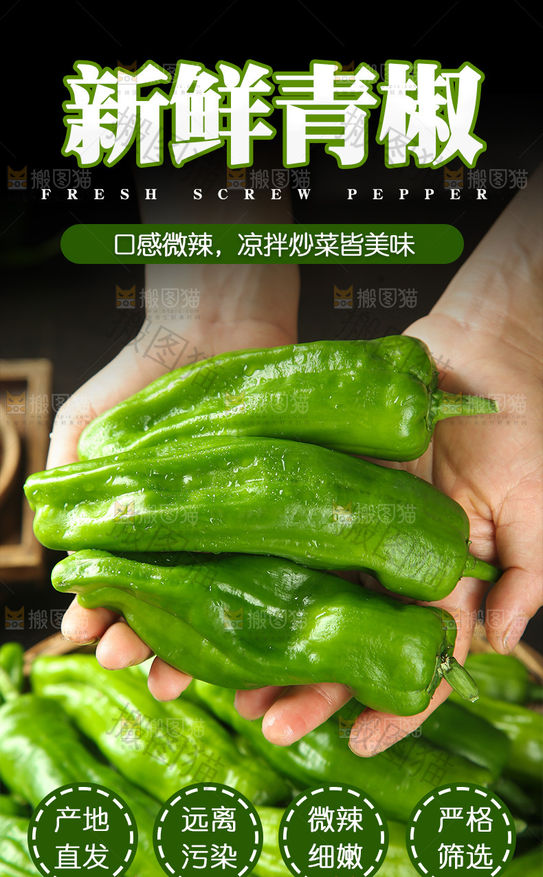 青辣椒详情页