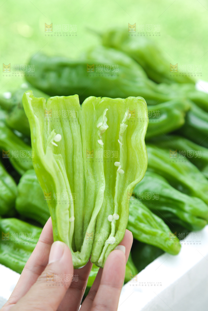青椒