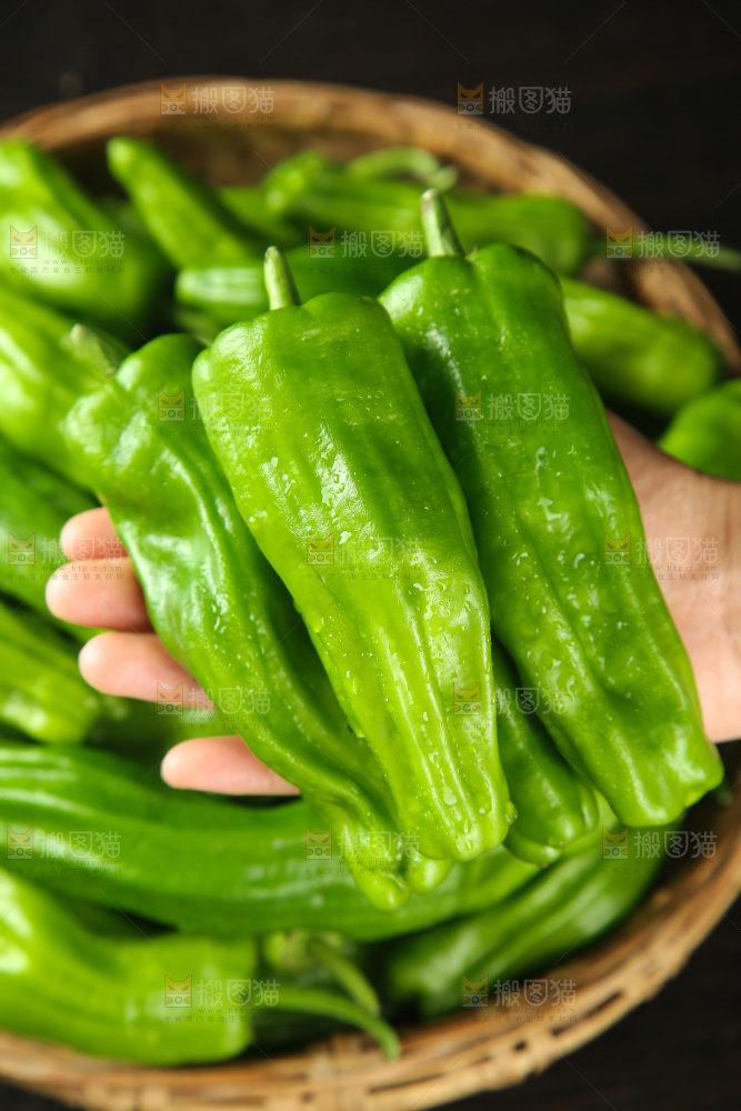 青椒