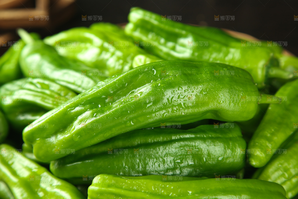 青椒