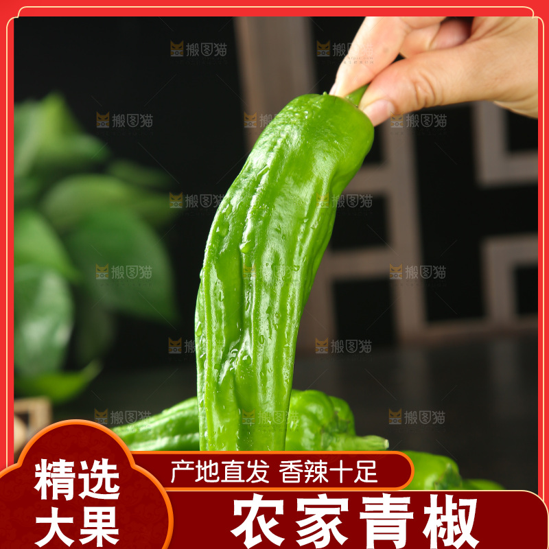 青椒