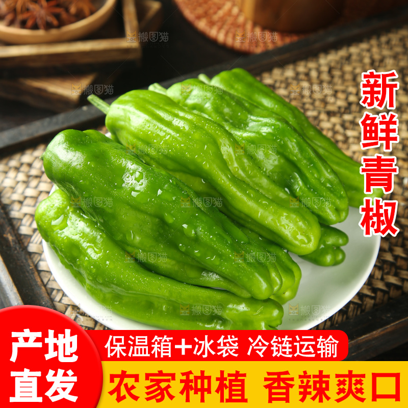 青椒
