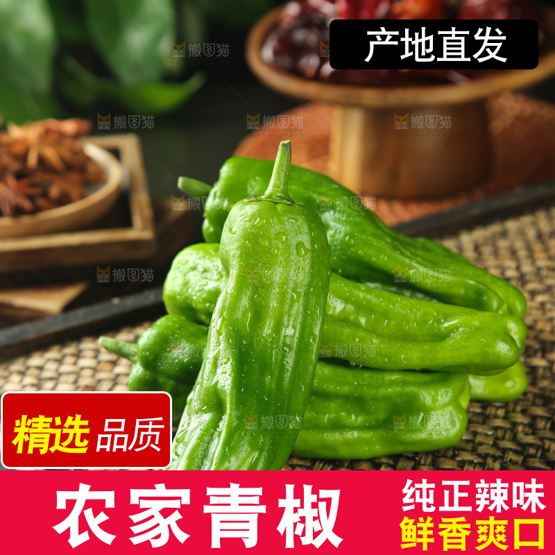 青椒