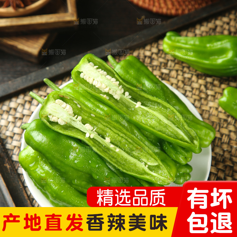 青椒