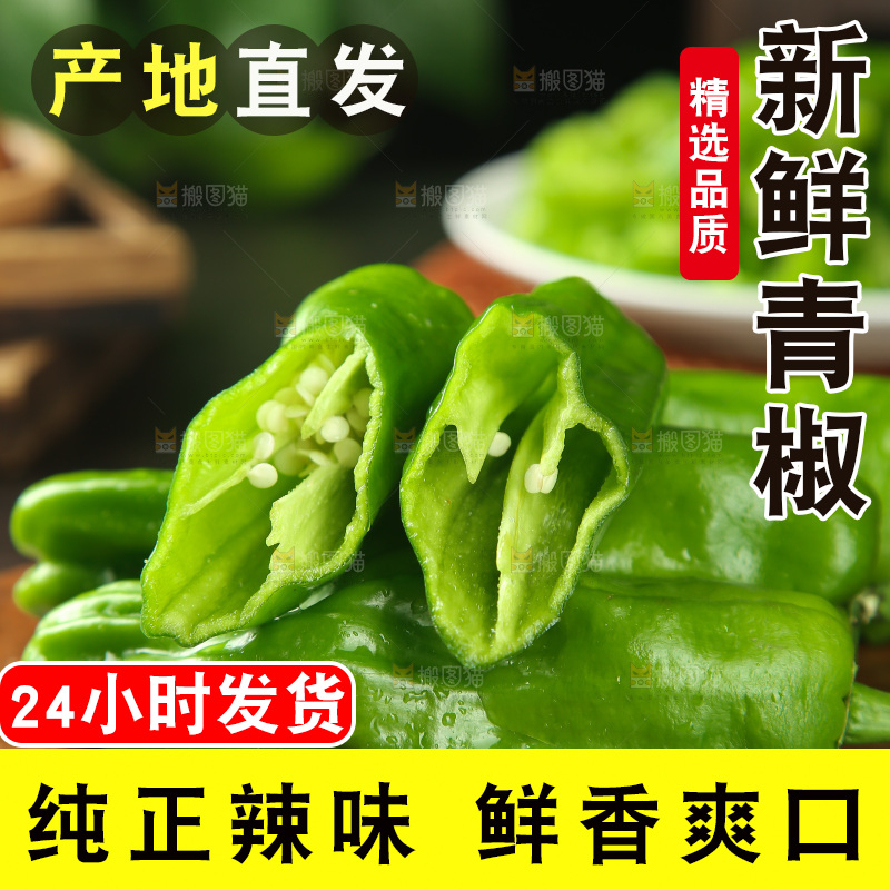 青椒