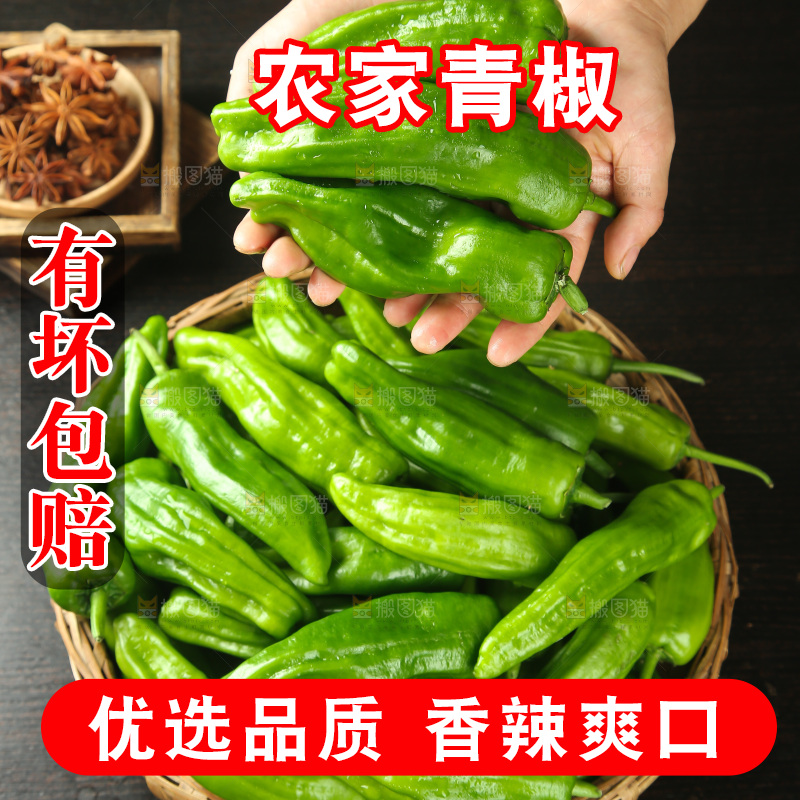 青椒