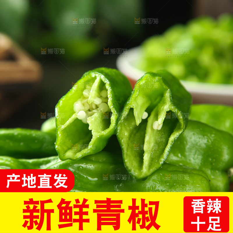青椒