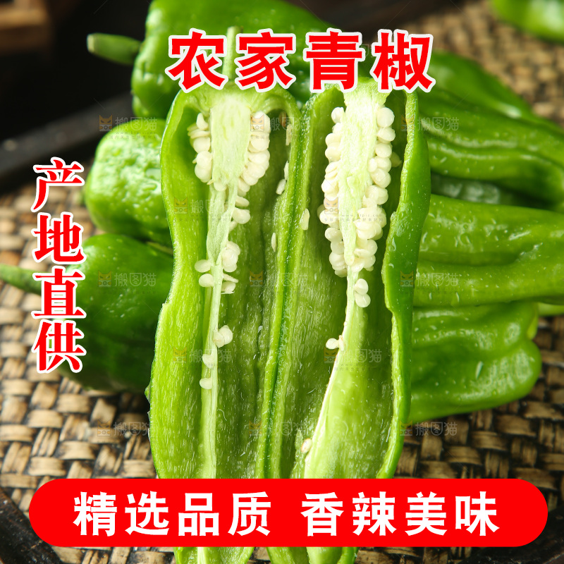 青椒