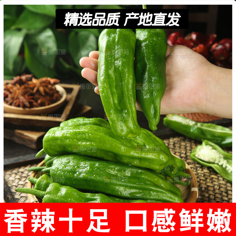 青椒