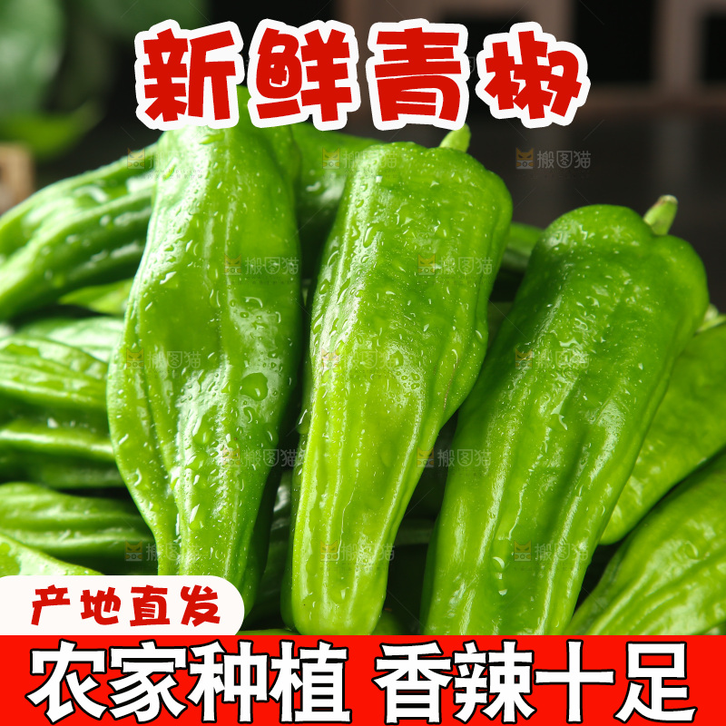 青椒