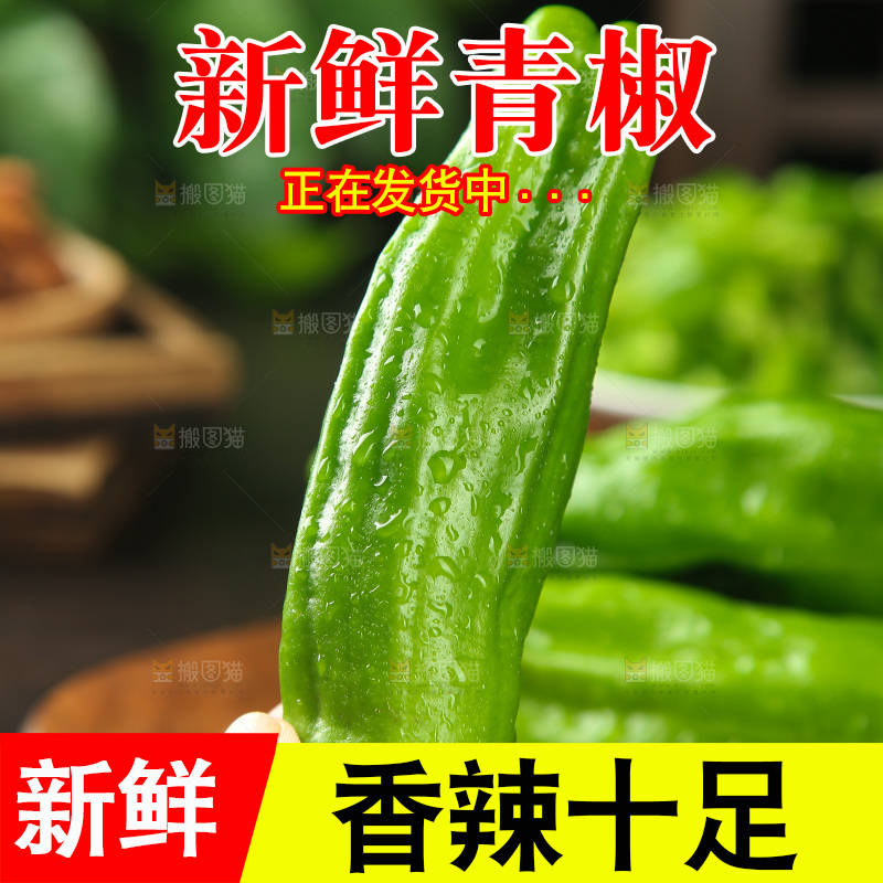 青椒
