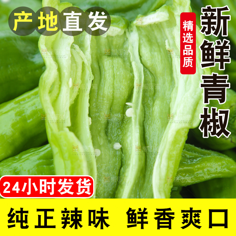 青椒