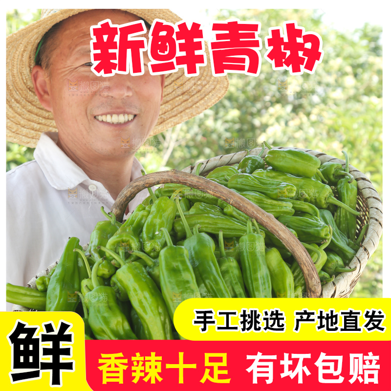 青椒