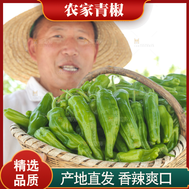 青椒