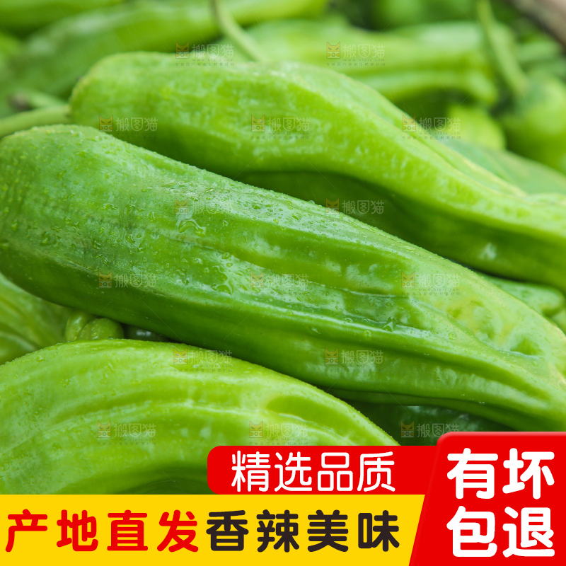 青椒