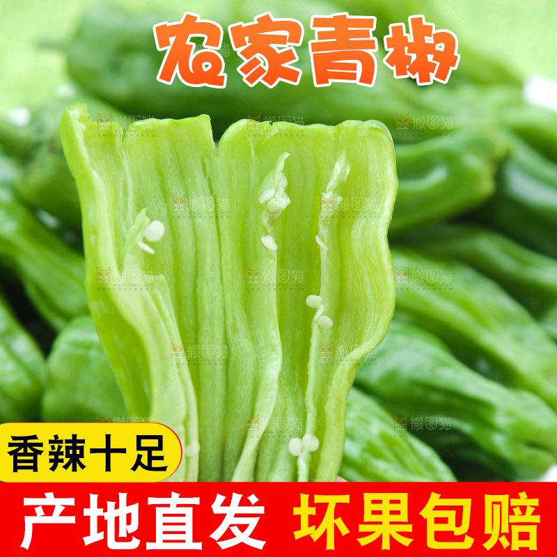 青椒