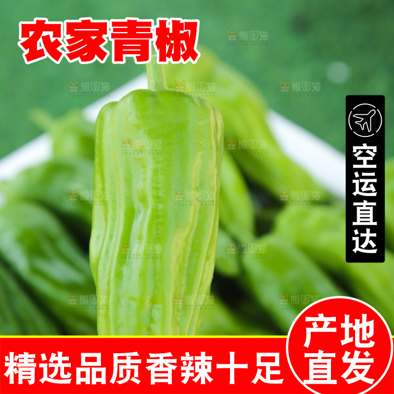 青椒